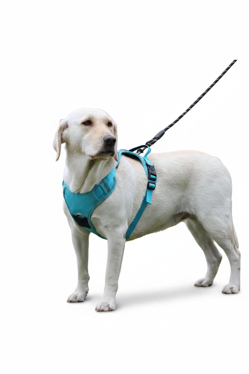 Tactical Dog Harness with Tracker Holder